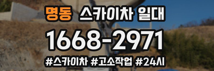 명동 스카이차 일대