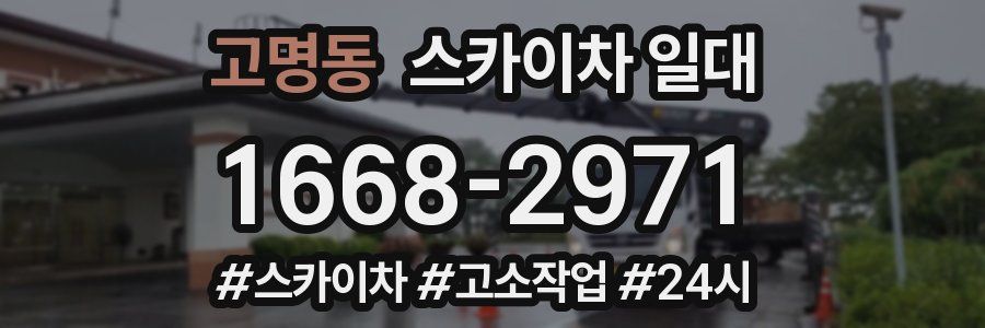 고명동 스카이차 일대