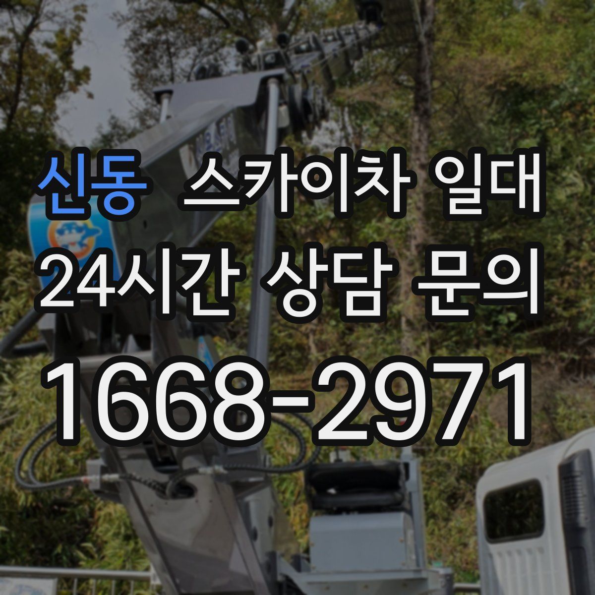 신동 스카이차 일대