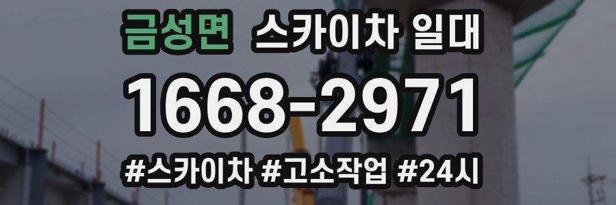 금성면 스카이차 일대