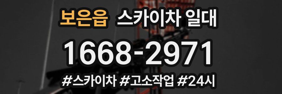 보은읍 스카이차 일대