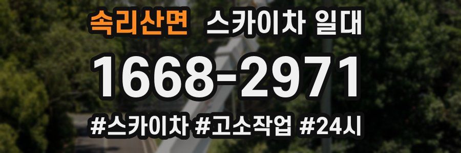 속리산면 스카이차 일대