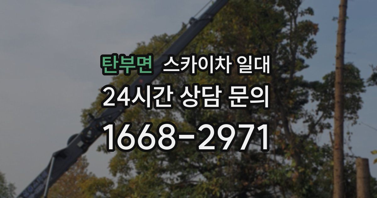 탄부면 스카이차 일대