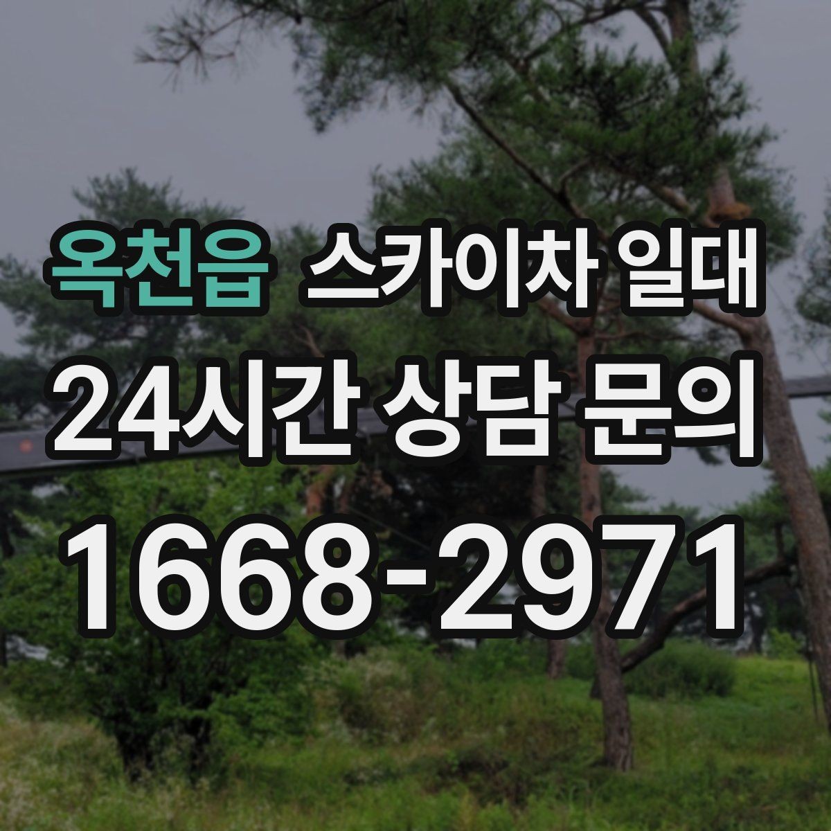 옥천읍 스카이차 일대 현장 상담에서 자주 묻는 질문