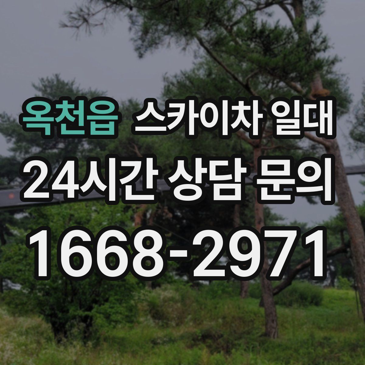 옥천읍 스카이차 일대
