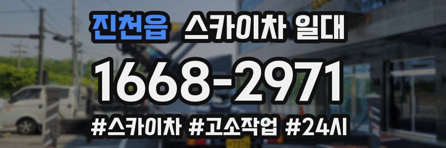 진천읍 스카이차 일대