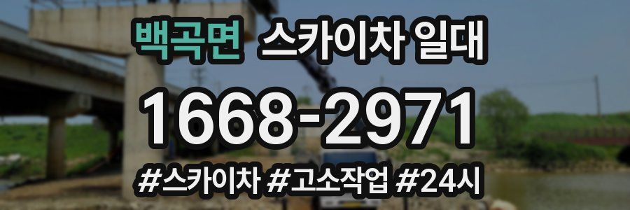 백곡면 스카이차 일대
