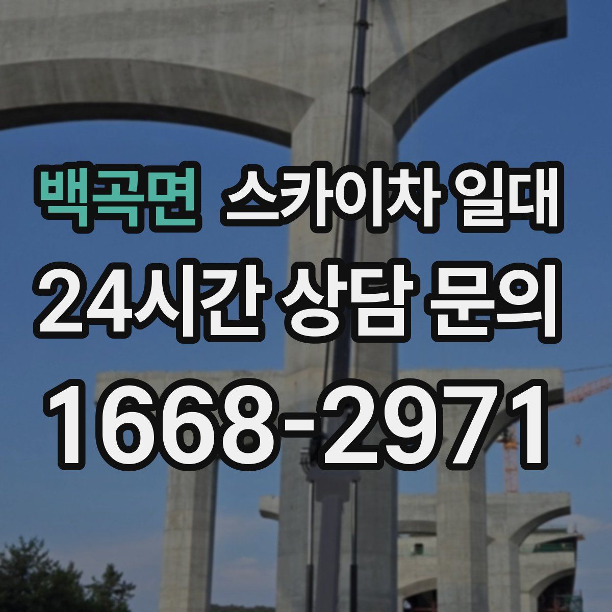 백곡면 스카이차 일대