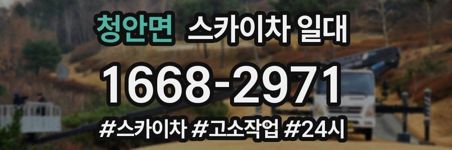 청안면 스카이차 일대