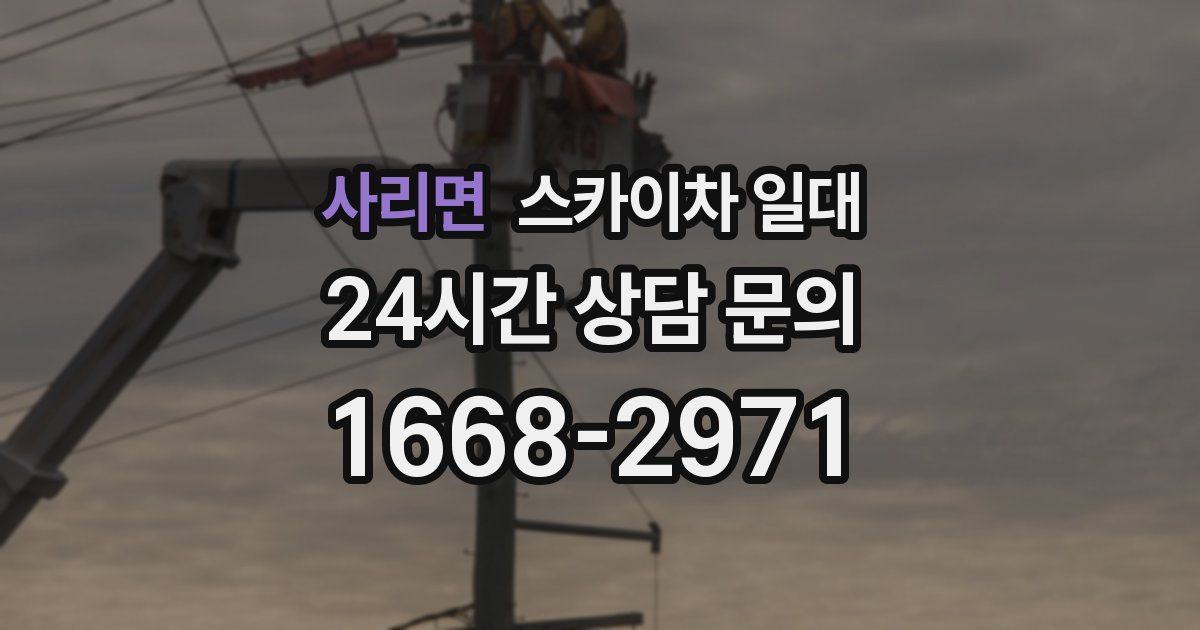 사리면 스카이차 일대