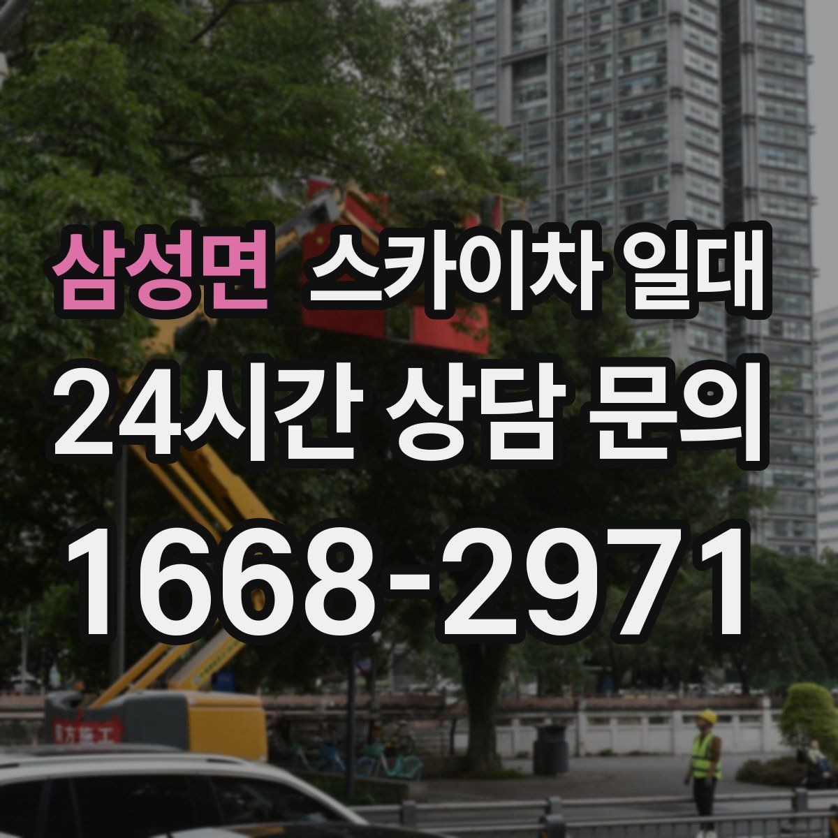 삼성면 스카이차 일대