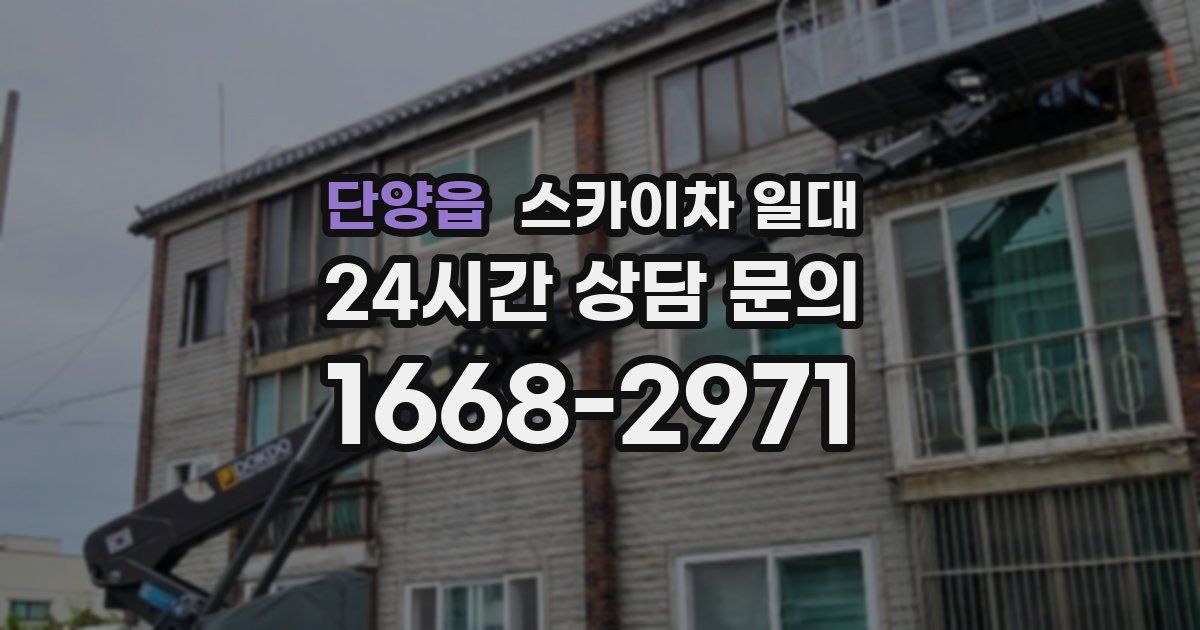 단양읍 스카이차 일대