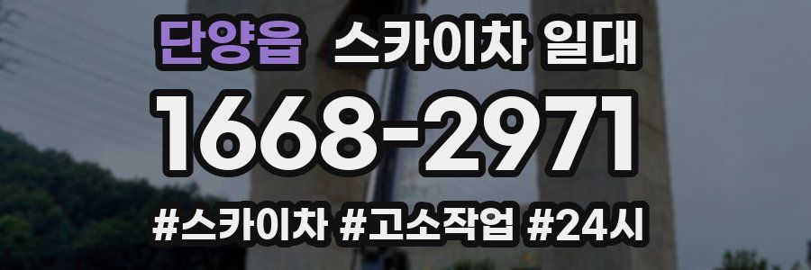 단양읍 스카이차 일대