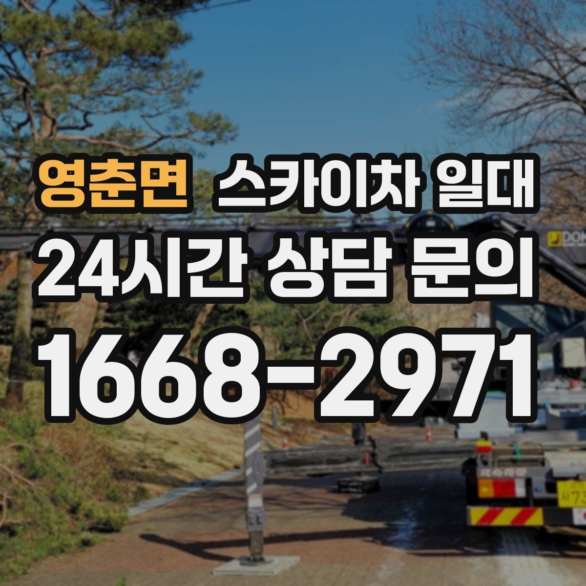 영춘면 스카이차 일대