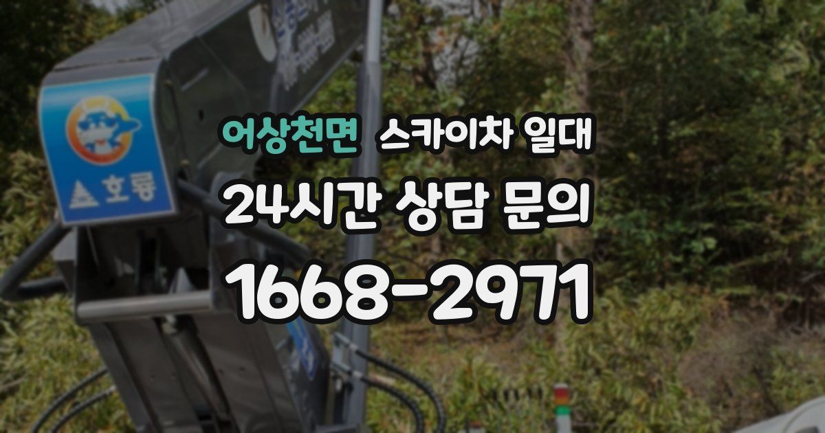 어상천면 스카이차 일대