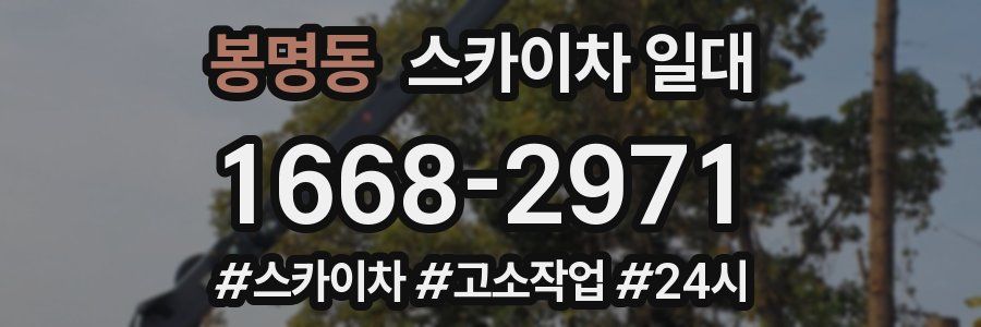 봉명동 스카이차 일대