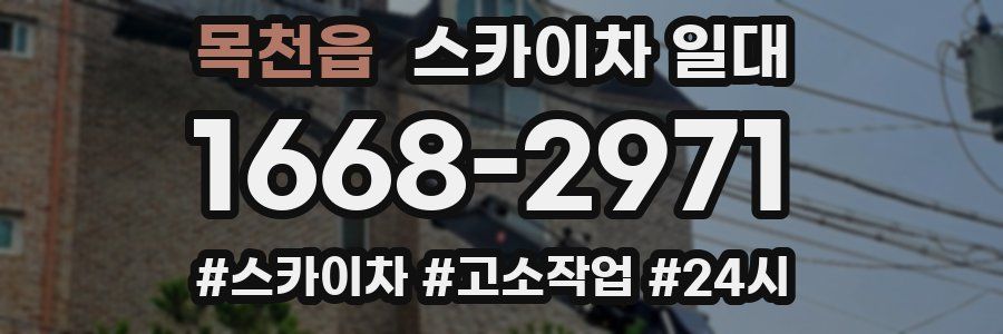 목천읍 스카이차 일대