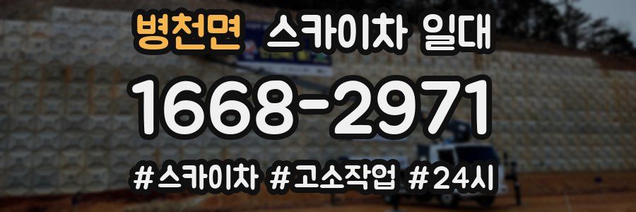 병천면 스카이차 일대