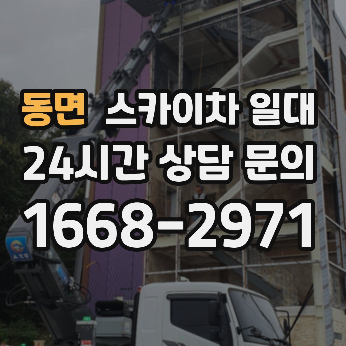 동면 스카이차 일대