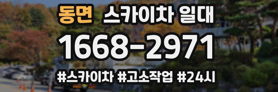 동면 스카이차 일대