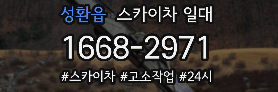 성환읍 스카이차 일대