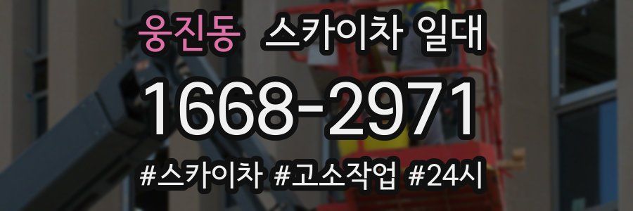 웅진동 스카이차 일대