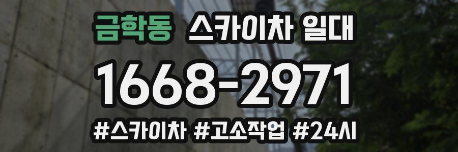 금학동 스카이차 일대