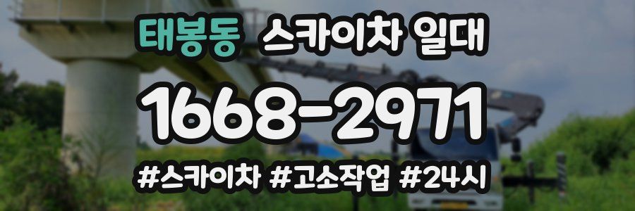 태봉동 스카이차 일대