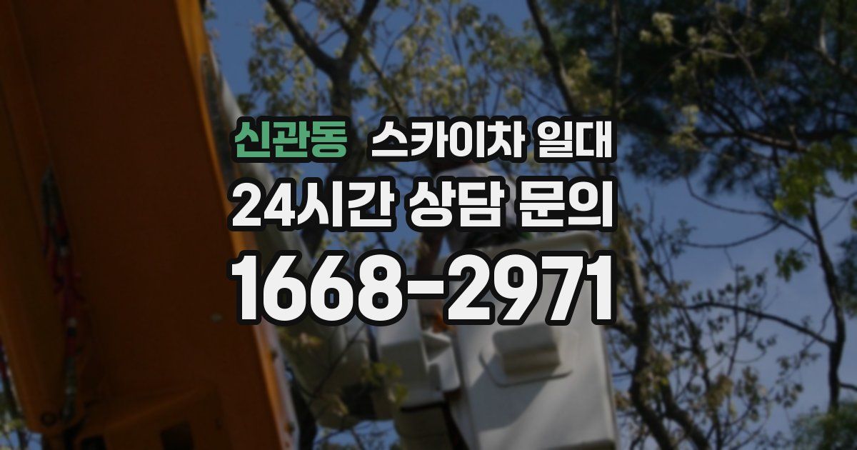 신관동 스카이차 일대