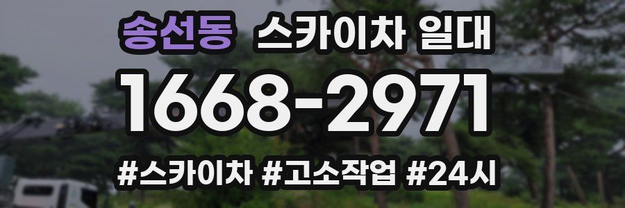 송선동 스카이차 일대