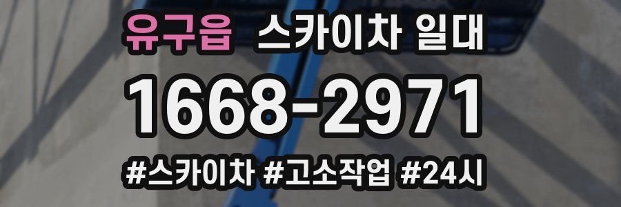유구읍 스카이차 일대
