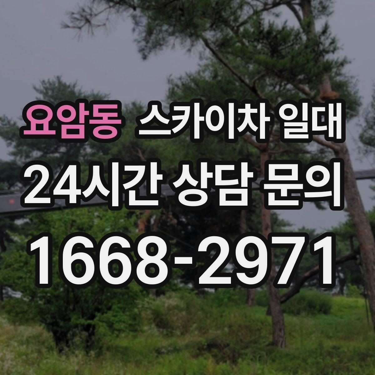 요암동 스카이차 일대