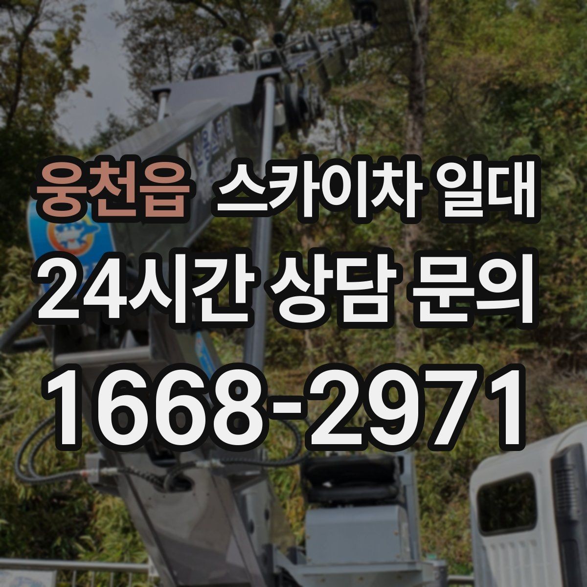 웅천읍 스카이차 일대 설치 공간이 부족할 때 대처법