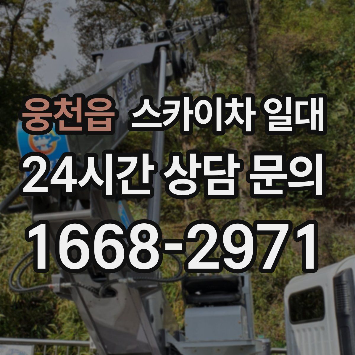 웅천읍 스카이차 일대