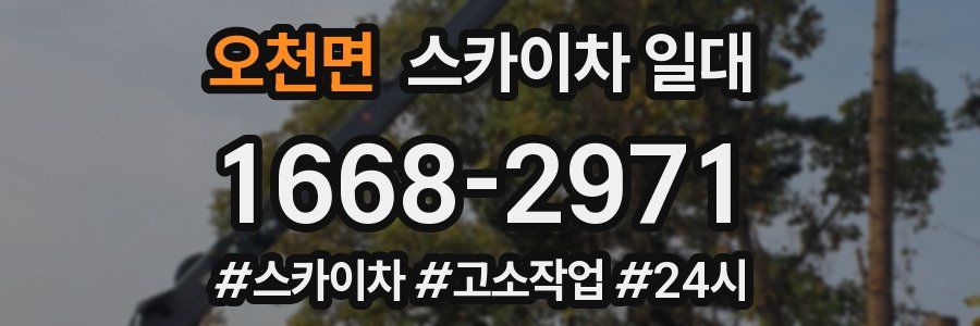 오천면 스카이차 일대