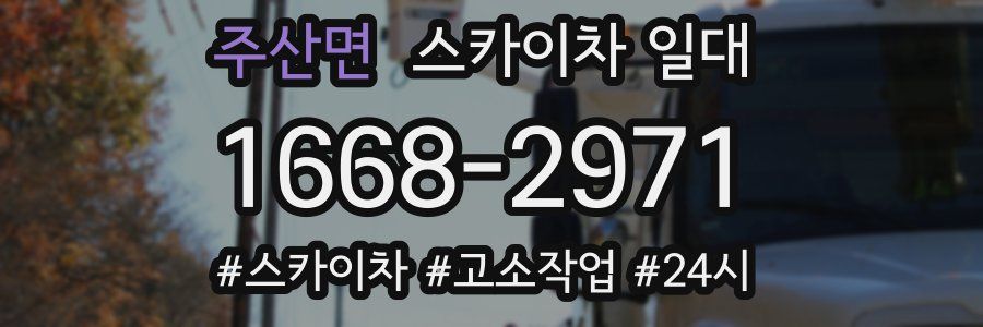 주산면 스카이차 일대