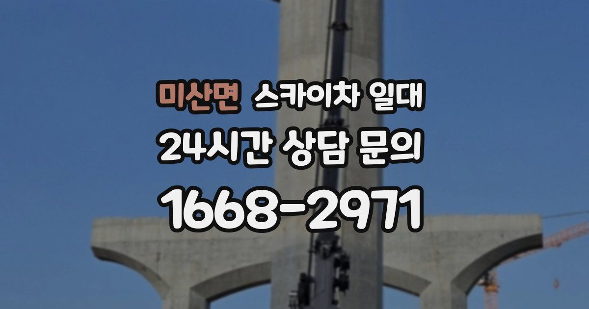 미산면 스카이차 일대