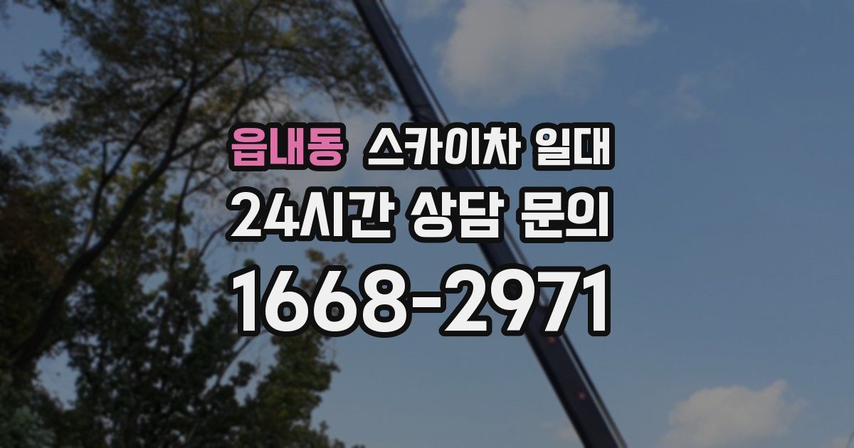 읍내동 스카이차 일대