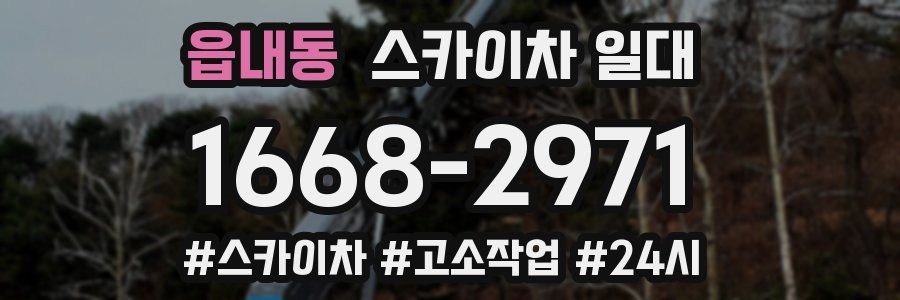 읍내동 스카이차 일대