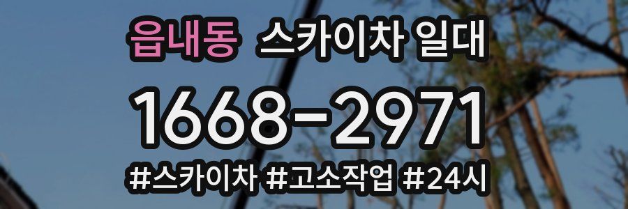 읍내동 스카이차 일대