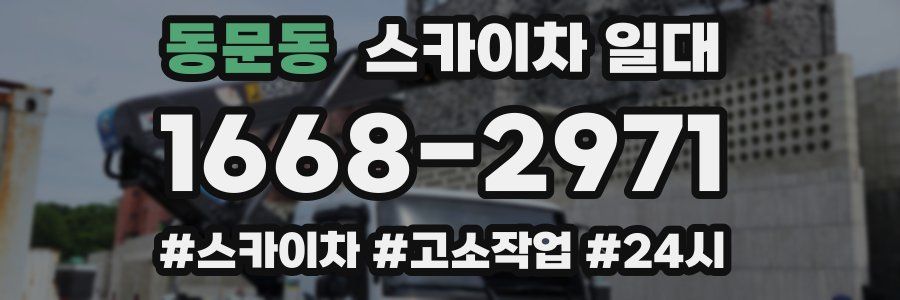 동문동 스카이차 일대