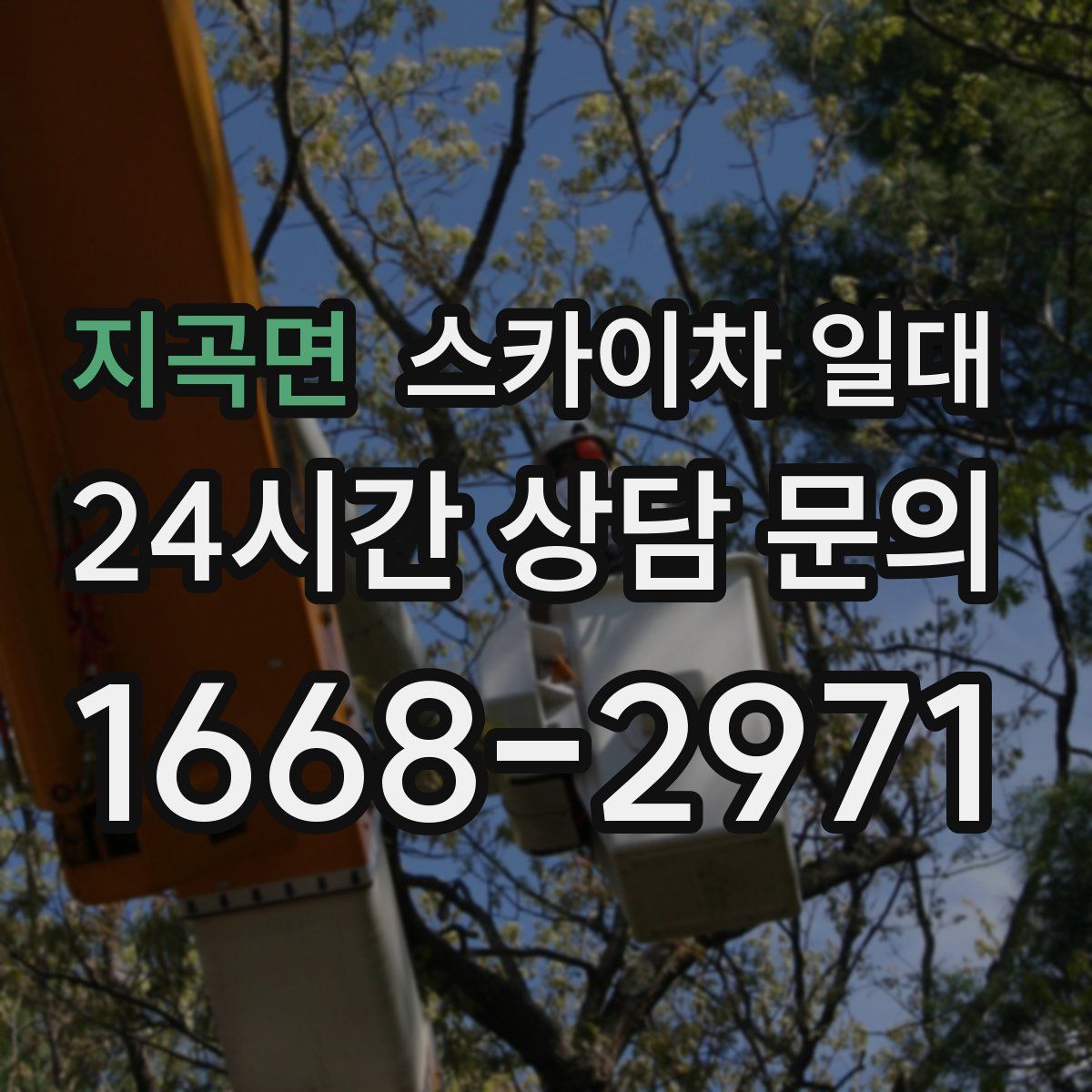 지곡면 스카이차 일대