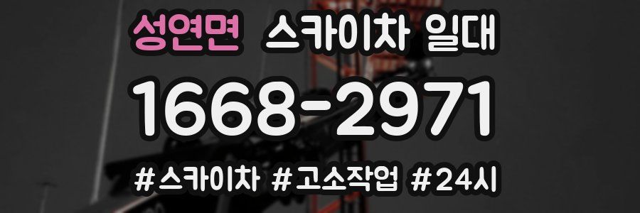 성연면 스카이차 일대