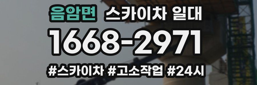 음암면 스카이차 일대