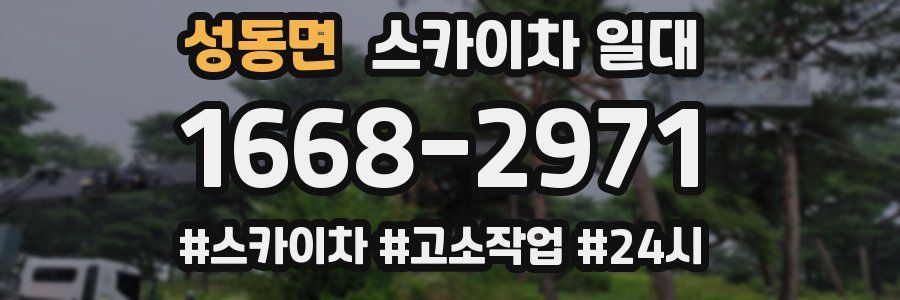 성동면 스카이차 일대
