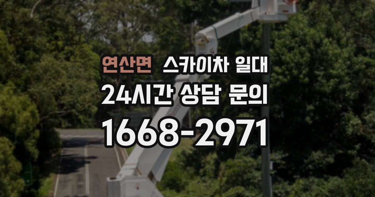 연산면 스카이차 일대