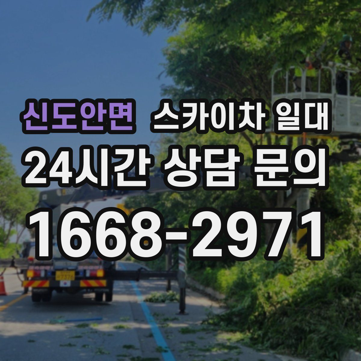 신도안면 스카이차 일대