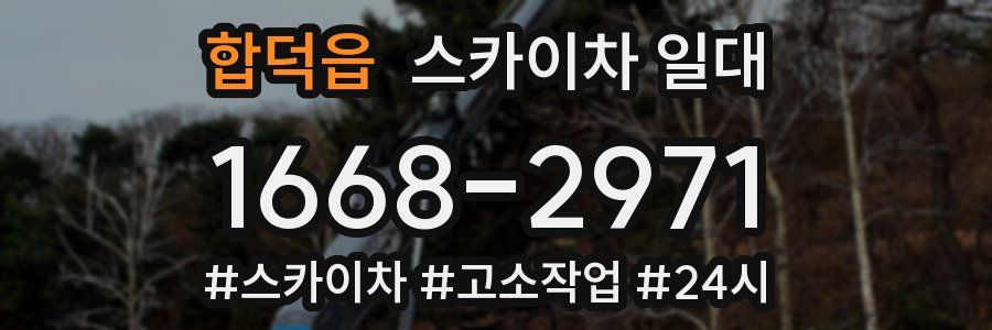 합덕읍 스카이차 일대