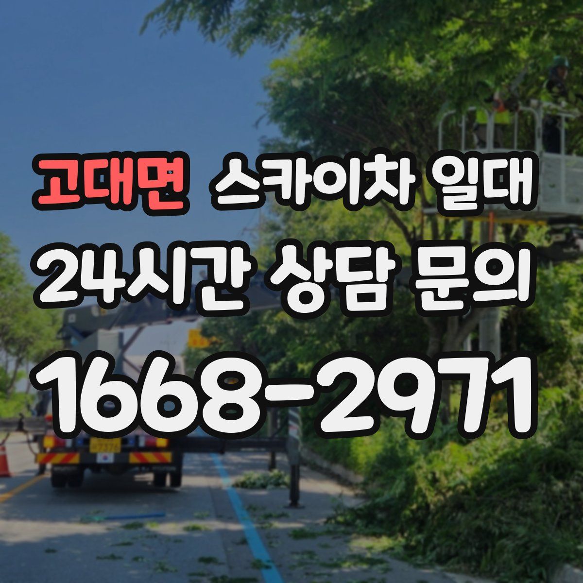 고대면 스카이차 일대