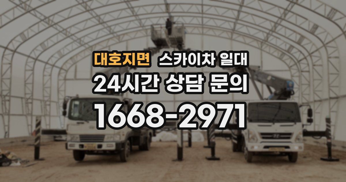 대호지면 스카이차 일대